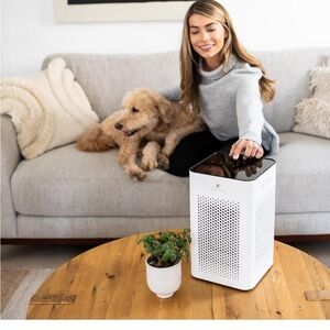 Medify Air Purifier